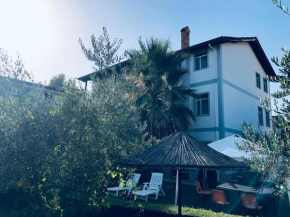 Villa Dede Nikolla